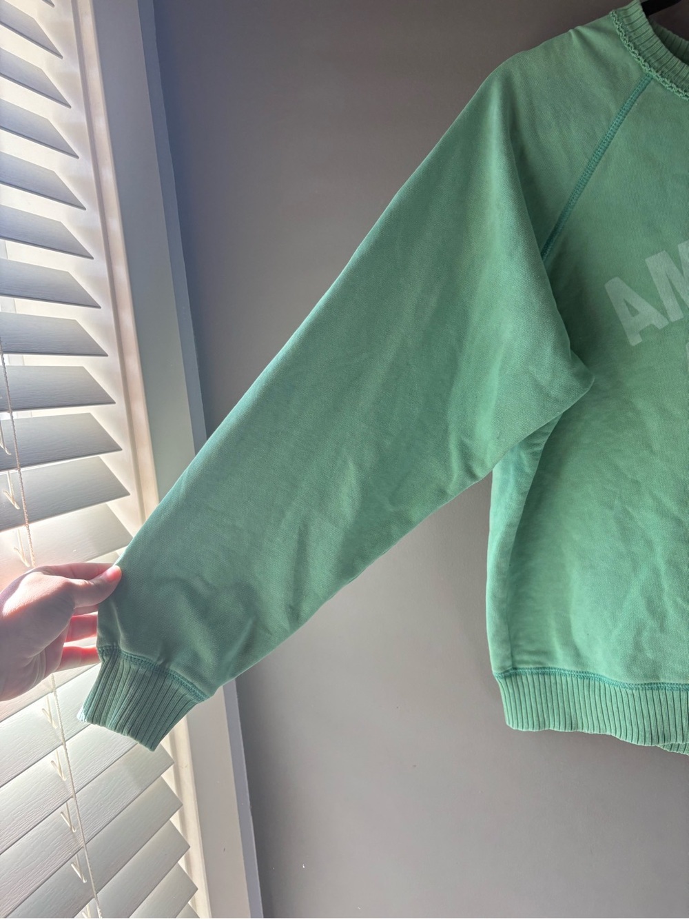 American Eagle Mint Green “Live-In” Graphic Crewneck Sweatshirt XS - Picture 4 of 7